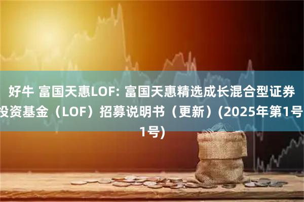 好牛 富国天惠LOF: 富国天惠精选成长混合型证券投资基金（LOF）招募说明书（更新）(2025年第1号)