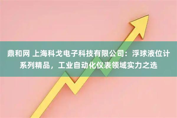 鼎和网 上海科戈电子科技有限公司：浮球液位计系列精品，工业自动化仪表领域实力之选