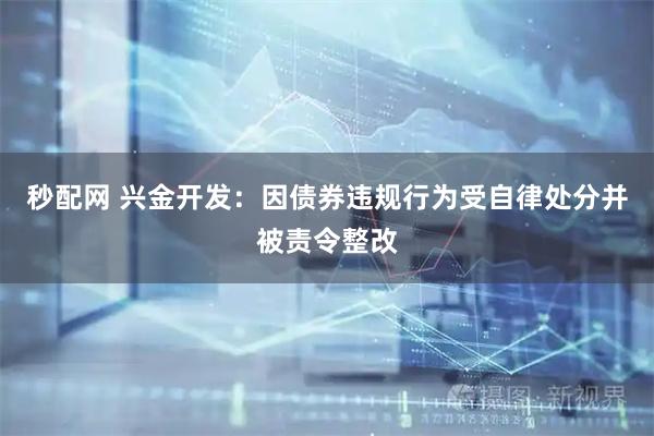 秒配网 兴金开发：因债券违规行为受自律处分并被责令整改